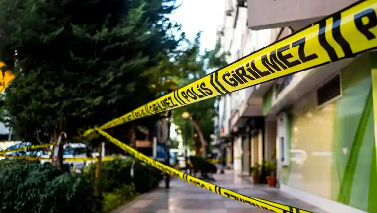2024'te 420 Kadın Cinayeti: Korkunç İstatistikler